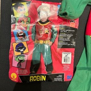 Robin costume